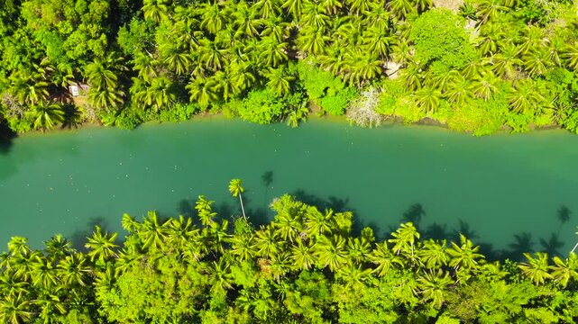 Aerial view of Loboc River in tropical green jungle. Bohol, Philippines.