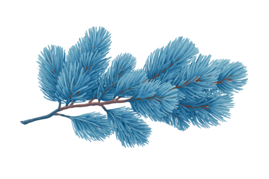 Azure fir branch with long needles, vector design