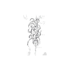 Fototapeta premium Abstract Sketch of Organic Flowing Shapes with Swirling Design