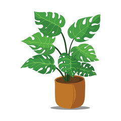 A vibrant green potted Monstera plant with large, split leaves in a simple brown pot.