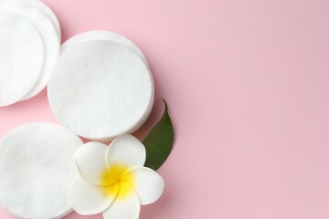 Clean cotton pads and plumeria flower on pink background, flat lay. Space for text