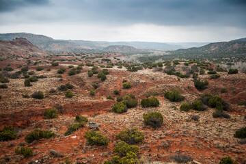 Palo Duro State Park, Texas