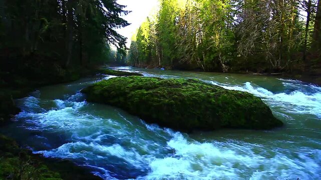 a video of Rainbow Falls state park river in Washington State