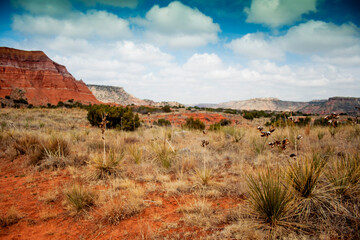 Palo Duro State Park, Texas