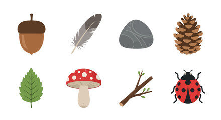 Forest elements collection with transparent background