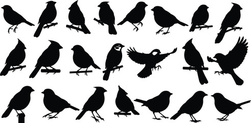 Large set of black bird silhouettes including cardinals and sparrows, isolated vector illustration collection, nature wildlife design elements for logo or tattoo.