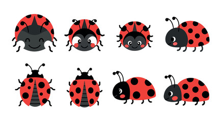 Ladybug collection with transparent background