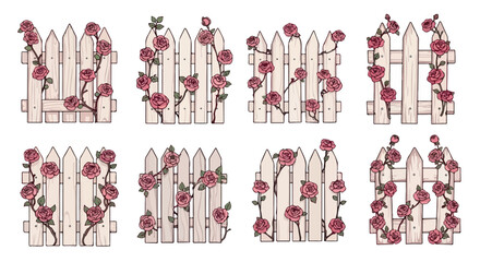 Wooden fence with climbing roses, multiple views