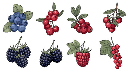 Assorted berries collection with transparent background