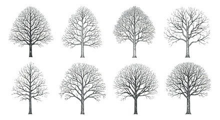 Fototapeta premium Bare tree set with transparent background