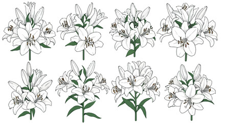 White lilies bouquet with transparent background