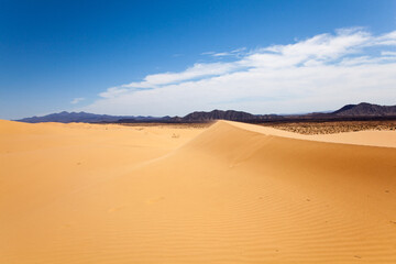 View of sand dunes in the Sonora Desert in Mexico.