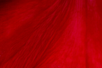 red fabric texture.. Abstract red background with a textured, dynamic appearance. Impression ofdynamic energy and vibrant color. Christmas, New year, birthday, party concept backgrounds