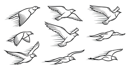 Flying birds in motion, black and white outline