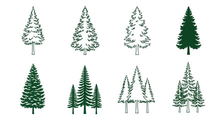 Obraz premium Evergreen trees collection with transparent background