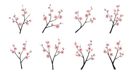 Cherry blossom branches with transparent background