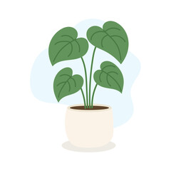 Bright indoor setup showcases heart-shaped philodendron leaves creating lush tropical texture, philodendron adding calming organic energy, stylish greenery accent perfect for modern home decor.