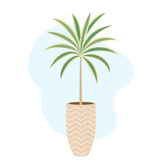 Tall indoor decor scene features elegant dracaena rising from textured pot, dracaena adding fresh biophilic vibe, calm greenery focus, modern styling mood, trending botanical accent for cozy home