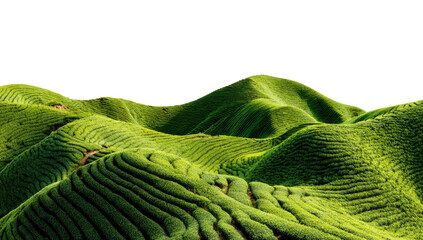 Fototapeta premium Lush, green, terraced hills against a black backdrop