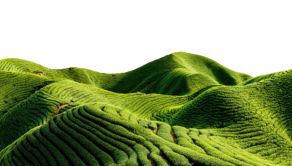 Lush, green, terraced hills against a black backdrop