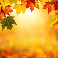 Fototapeta premium Autumn leaves background with golden sunlight and copy space