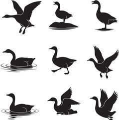 Geese silhouettes in various poses flying swimming walking and standing goose silhouette logo goose
