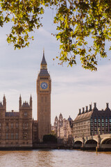 Fototapeta premium London, UK, 14 SEP 2023: Big Ben clock tower captured from within St. Thomas hospital Trust Park.