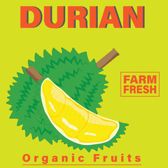 Durian packaging design templates, watercolour style vector illustration.
