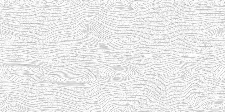 Seamless pattern wood texture, black and white wood plank, vector design