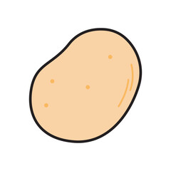 potato illustration. Suitable for food themed designs or agricultural concepts