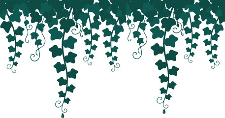 Hanging Ivy Plant Vector Border