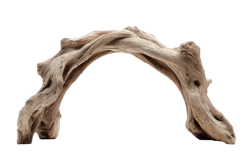 Twisted, weathered driftwood arc against a black backdrop