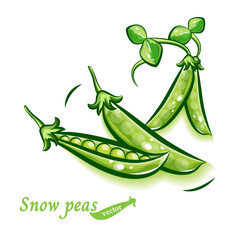 サヤエンドウ(スナップエンドウ)のポップなイラスト｜新鮮野菜のベクター素材