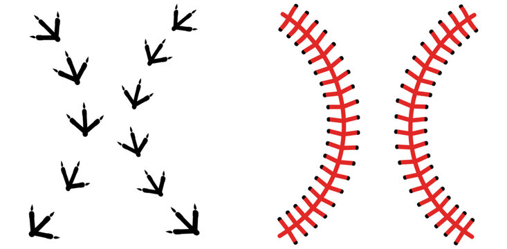 A graphic illustration showing bird tracks and baseball stitching on a white background digitally created