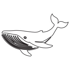 Ocean Whale Outline