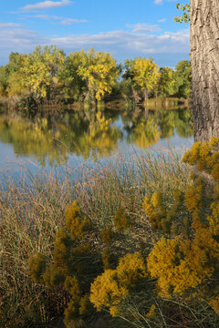 Arapaho Bend Natural Area Fort Collins Colorado