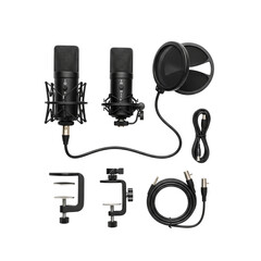 Two professional microphones and accessories isolated on transparent background