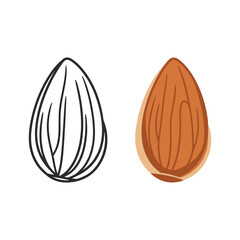 Almond outline and color drawing isolated on for coloring book
