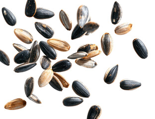 Scattered sunflower seeds on a dark background