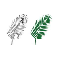 Fototapeta premium Palm leaf illustration with color and line art isolated on