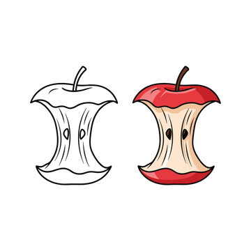 Apple core outline and color vector illustration isolated on