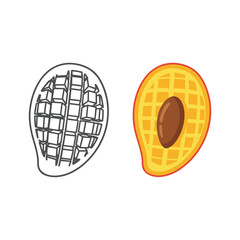 Mango vector illustration, line art and color version isolated on