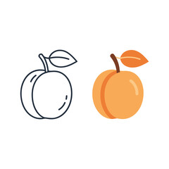 Apricot outline and colored vector illustration isolated on
