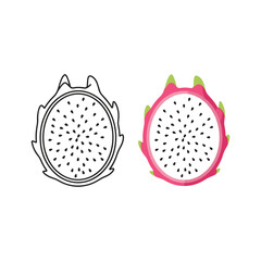 Illustration of dragon fruit with outline and color isolated on