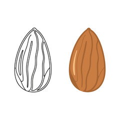 Two almonds, one in outline and one in solid, isolated on