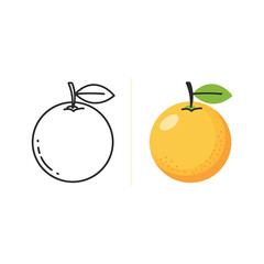Orange fruit with leaf isolated on in color and line art