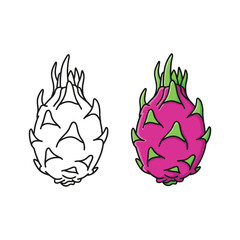 Dragon fruit outline and silhouette isolated on with color