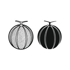 Two cantaloupe melons, one in outline and one in solid, isolated on