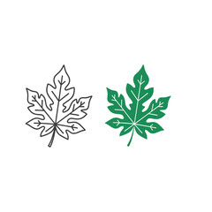 Papaya leaf outline and color vector illustration isolated on