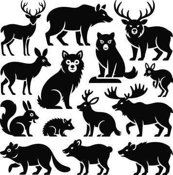 Animal Vector Bundle